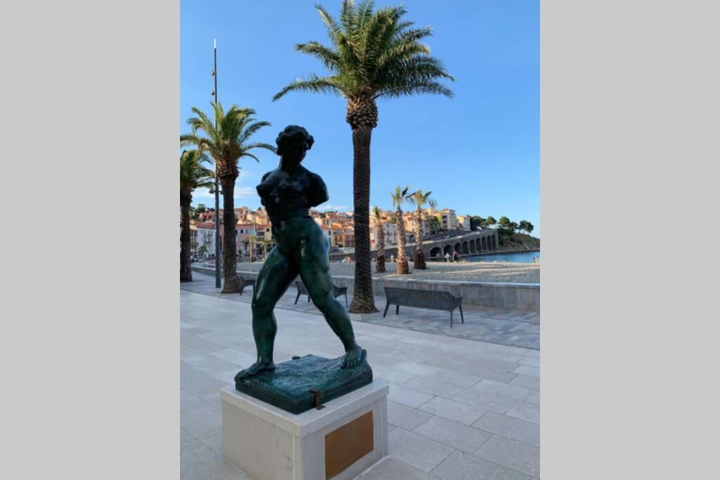 Attique A Banyuls - Vue Mer Et Montagne Exterior foto